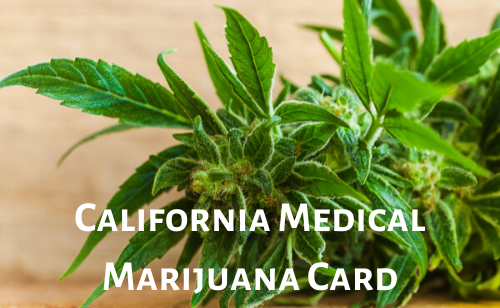 california medical marijuana card