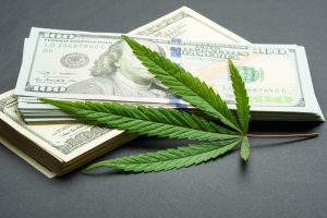 marijuana business