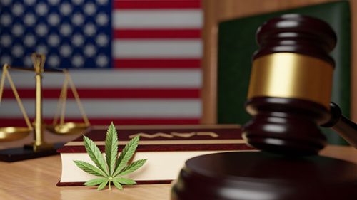 medical cannabis laws